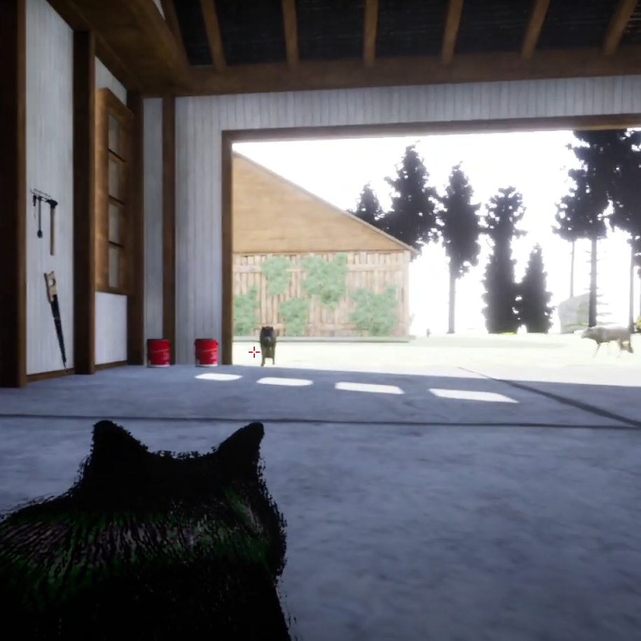 Screenshot from the game HuskyAdventure