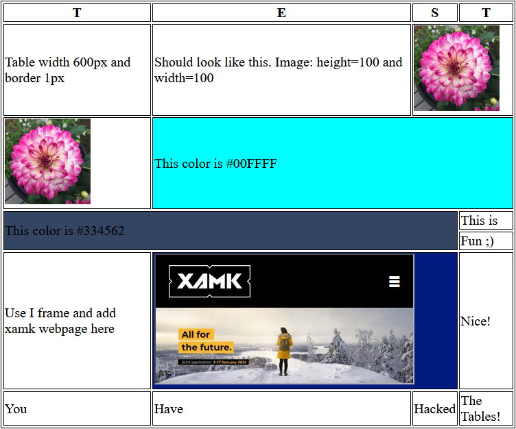 Image of Task 4